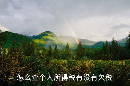 個(gè)人企業(yè)如何查欠稅啊，個(gè)體工商戶怎么查詢是否欠稅