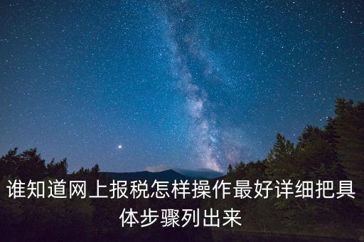 如何進行網(wǎng)上納稅申報，如何進行網(wǎng)上申報稅款