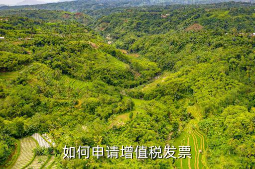 增值稅卷式發(fā)票如何申，新開公司如何申請?jiān)鲋刀惏l(fā)票