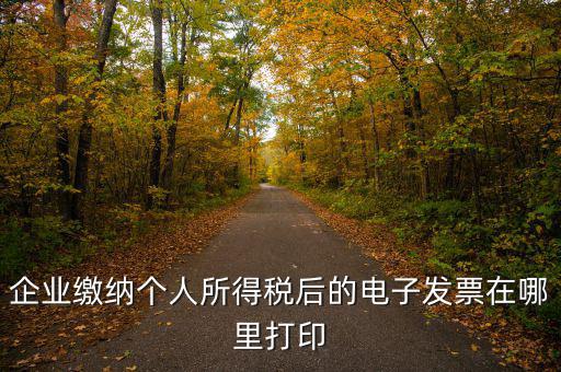 國稅網(wǎng)如何打印電子發(fā)票，增值稅電子普通發(fā)票怎么打印