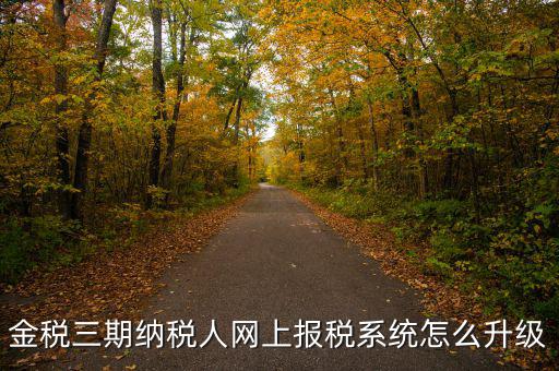 金稅三期納稅人網(wǎng)上報(bào)稅系統(tǒng)怎么升級