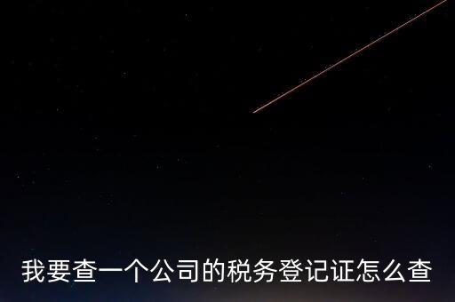如何查企業(yè)的稅收記錄，想查一個(gè)公司的稅費(fèi)情況怎么查