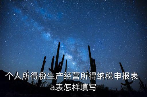 個(gè)人經(jīng)營(yíng)所得申報(bào)表a表如何填，個(gè)人所得稅經(jīng)營(yíng)所得稅申報(bào)表a表怎么填