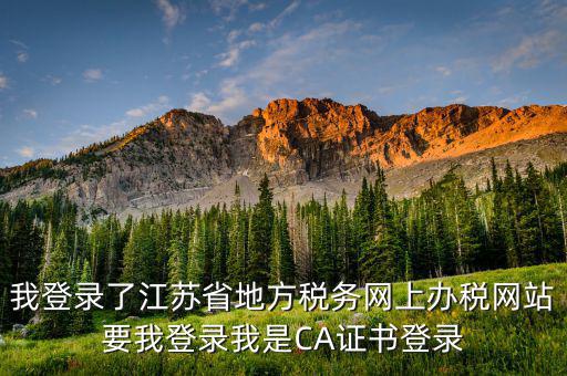 我登錄了江蘇省地方稅務網上辦稅網站要我登錄我是CA證書登錄
