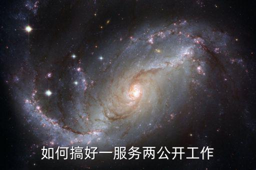如何推進一案雙查工作，如何搞好一服務兩公開工作