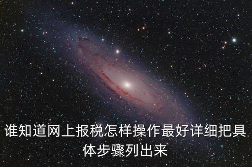 誰知道網(wǎng)上報稅怎樣操作最好詳細(xì)把具體步驟列出來