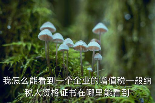 增值稅一般納稅人資格如何查詢，重慶國(guó)稅網(wǎng)如何查詢企業(yè)是否一般納稅人