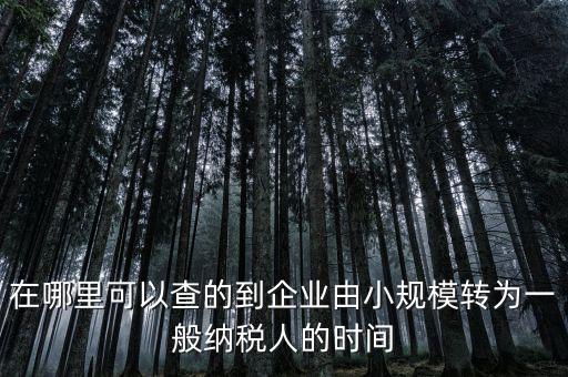 在哪里可以查的到企業(yè)由小規(guī)模轉為一般納稅人的時間