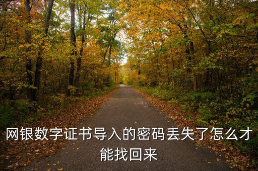 數(shù)字證書密碼錯(cuò)誤如何找回，營(yíng)業(yè)執(zhí)照數(shù)字證書密碼忘記了 怎么辦