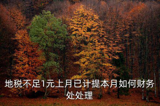 財務(wù)處如何落實數(shù)據(jù)地稅，地稅不足1元上月已計提本月如何財務(wù)處處理