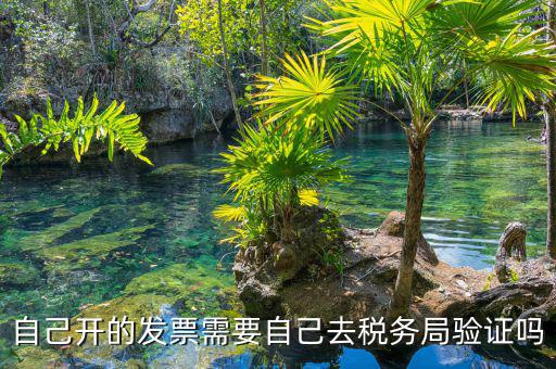 如何去稅務(wù)局驗(yàn)證發(fā)票嗎，發(fā)票怎么去稅務(wù)局驗(yàn)證需要什么資料