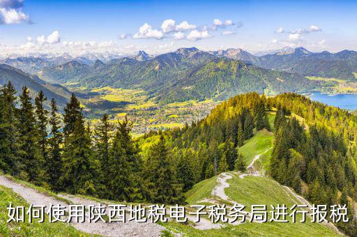 陜西地稅國稅網(wǎng)上如何申報，如何使用陜西地稅電子稅務局進行報稅