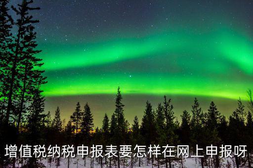 增值稅網(wǎng)上如何申報(bào)系統(tǒng)，增值稅納稅申報(bào)表要怎樣在網(wǎng)上申報(bào)呀