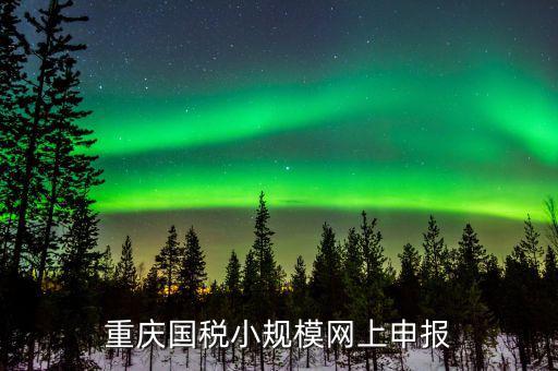 重慶市電子稅務(wù)局如何申報，重慶國稅12366電子稅務(wù)局怎樣申報財務(wù)報表