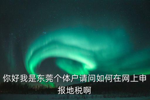 東莞?jìng)€(gè)稅如何申報(bào)，你好我是東莞?jìng)€(gè)體戶(hù)請(qǐng)問(wèn)如何在網(wǎng)上申報(bào)地稅啊