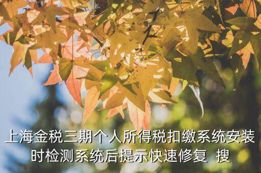 個稅安裝包如何恢復，上海金稅三期個人所得稅扣繳系統(tǒng)安裝時檢測系統(tǒng)后提示快速修復  搜