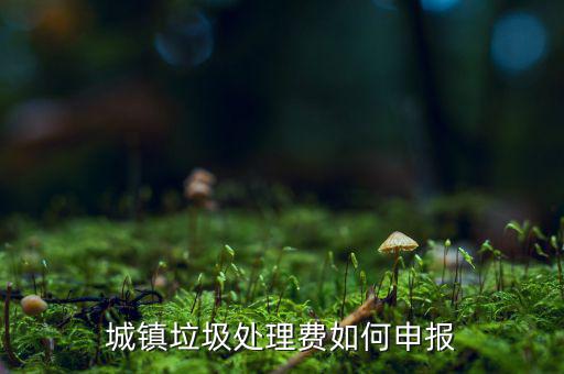 城市生活垃圾費(fèi)如何申報(bào)，城鎮(zhèn)垃圾處理費(fèi)如何申報(bào)