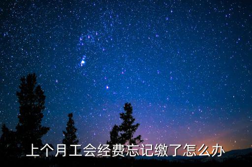 如何補(bǔ)繳上月工會(huì)經(jīng)費(fèi)地稅，工會(huì)經(jīng)費(fèi)上月已申報(bào)但未繳費(fèi)本月可以補(bǔ)交嗎在哪里補(bǔ)交是在報(bào)稅系統(tǒng)