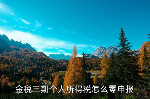 金稅三期個(gè)人所得稅如何零申報(bào)表，金稅三期個(gè)人所得稅零申報(bào)流程