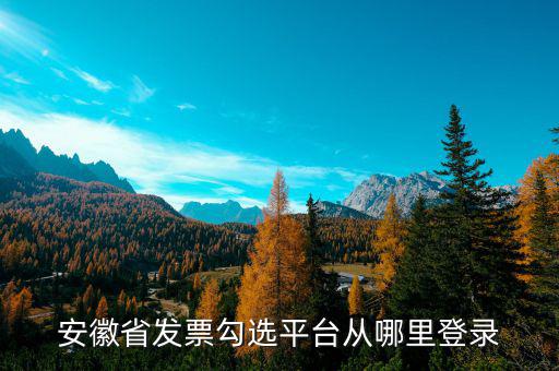 安徽省如何在網(wǎng)上申請(qǐng)購(gòu)發(fā)票，安徽省發(fā)票勾選平臺(tái)從哪里登錄