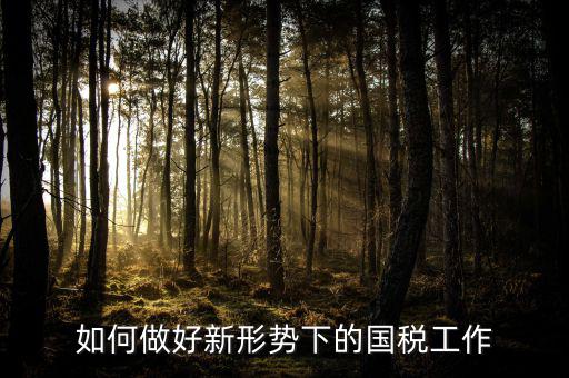 如何做好新形勢(shì)下的國稅工作