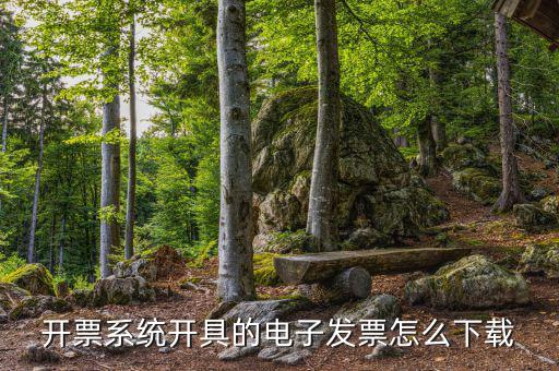 發(fā)票助手如何安裝在手機(jī)上，增值稅發(fā)票稅控開(kāi)票軟件怎么安裝