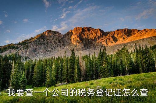 如何查詢稅務(wù)登記表，稅務(wù)登記證查詢