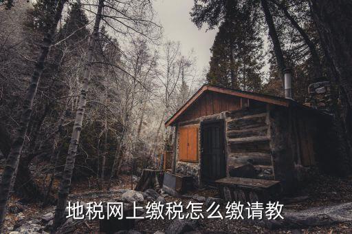 地稅如何交稅嗎，地稅網(wǎng)上繳稅怎么繳請(qǐng)教