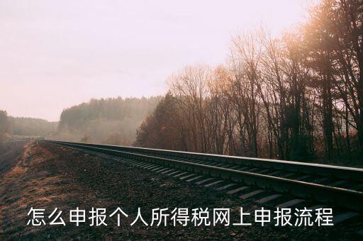 泉州個人所得稅如何網(wǎng)上申報，個人所得稅網(wǎng)上申報步驟