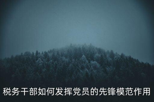 稅收征管改革黨員如何發(fā)揮作用，稅務(wù)干部如何發(fā)揮黨員的先鋒模范作用