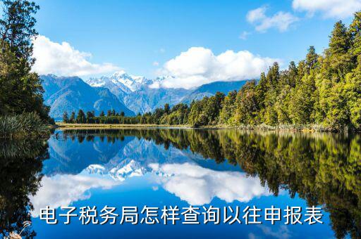云廳里如何查看往期申報(bào)表，國稅網(wǎng)上辦稅平臺(tái)如何查詢以前年度增值稅納稅申報(bào)表