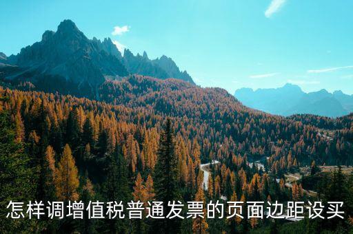 怎樣調(diào)增值稅普通發(fā)票的頁(yè)面邊距設(shè)買