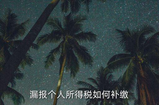 安徽省個(gè)稅如何補(bǔ)充申報(bào)，漏報(bào)個(gè)人所得稅如何補(bǔ)繳