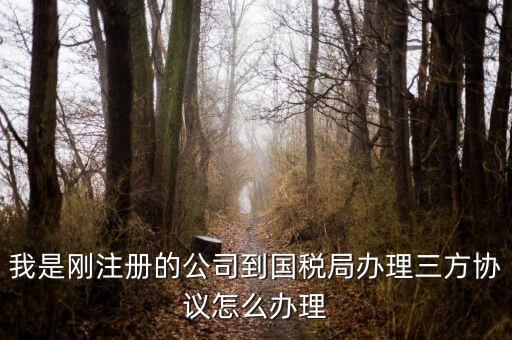 如何激活稅務(wù)三方協(xié)議，稅務(wù)三方協(xié)議怎樣激活