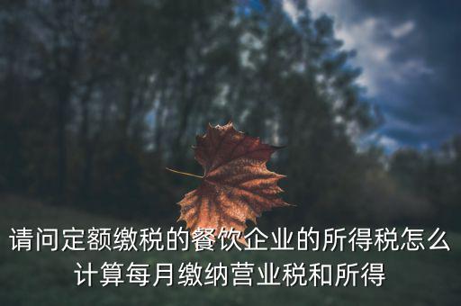 定額納稅企業(yè)如何計算公式，企業(yè)稅金計算公式