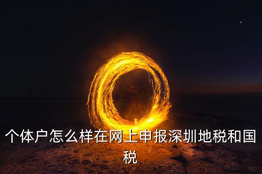 深圳市個(gè)稅如何申報(bào)系統(tǒng)，個(gè)體戶怎么樣在網(wǎng)上申報(bào)深圳地稅和國稅