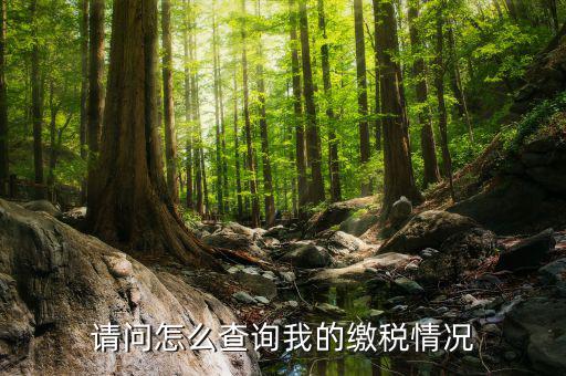 繳納稅款如何查詢，請問怎么查詢我的繳稅情況