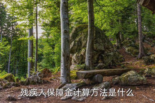 廣西殘疾人保障金如何計算，殘疾人保障金怎么計算