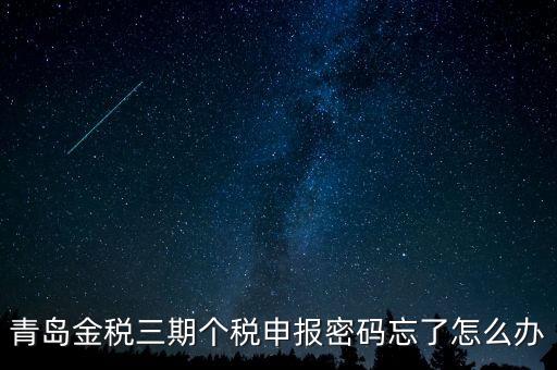 如何重置金三個稅系統(tǒng)申報(bào)密碼，青島金稅三期個稅申報(bào)密碼忘了怎么辦
