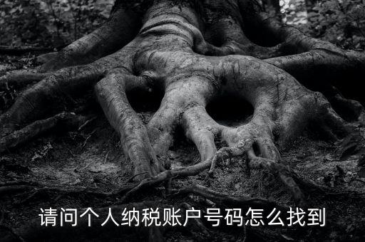 如何查詢個(gè)人稅務(wù)編號(hào)查詢，如何查看個(gè)人名下的稅務(wù)證