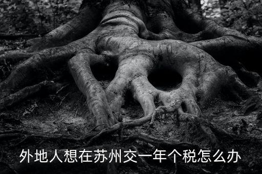 蘇州如何補(bǔ)繳個(gè)稅，外地人想在蘇州交一年個(gè)稅怎么辦
