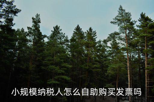 小規(guī)模如何領購發(fā)票，小規(guī)模納稅人領取發(fā)票程序