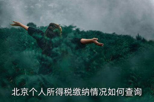 北京地稅個(gè)人如何查詢，如何查詢個(gè)人所得稅繳稅記錄