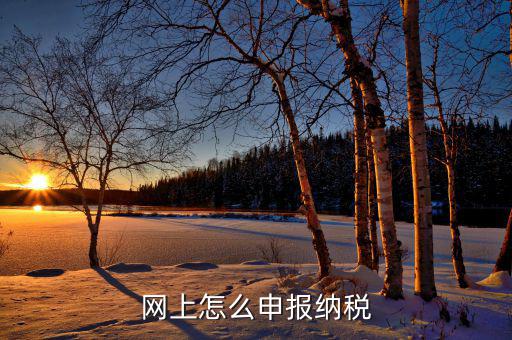 在地稅務(wù)局網(wǎng)上如何報稅，稅務(wù)申報如何網(wǎng)上申報