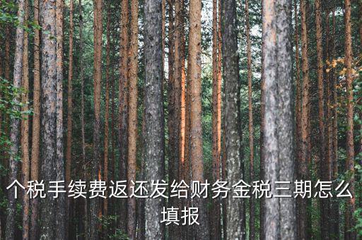 金稅三期獲如何連接稅務(wù)局，金稅三期個(gè)人所得稅扣繳系統(tǒng)怎樣連接地稅