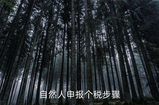自然人稅收如何申報(bào)表，自然人申報(bào)個(gè)稅步驟