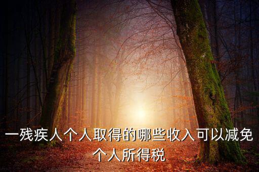 殘疾人減免個稅如何做賬，有殘疾人免稅證明在個人所得稅申報系統(tǒng)中如何填寫急