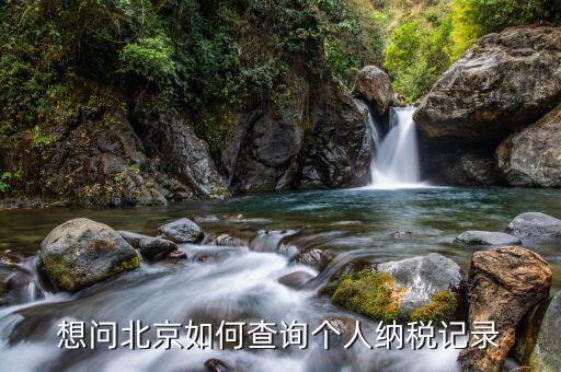 如何查詢北京納稅申報(bào)，納稅申報(bào)表在哪里查詢