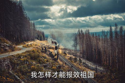 開的稅如何報效，報效祖國最好的辦法是什么