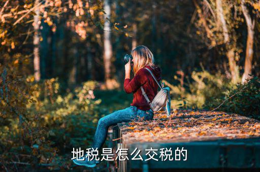 吉林市地稅如何收取，國地稅怎么收